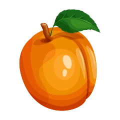 Apricot