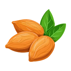 Almond