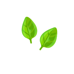Basil