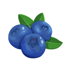 Blueberry