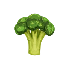 Broccoli