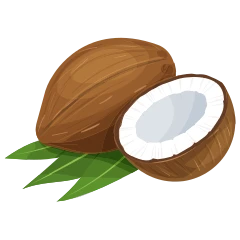 Coconut