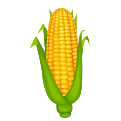 Sweetcorn