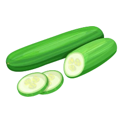 Cucumber