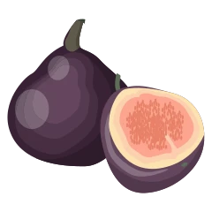 Fig