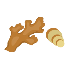 Ginger