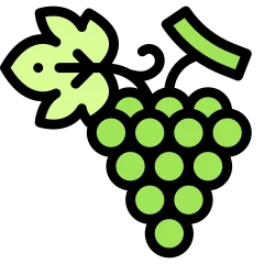 Grapes in colour
