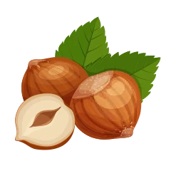 Hazelnut