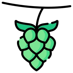 Hops in colour