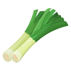 Leek