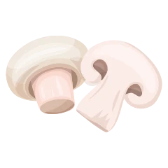 Mushroom