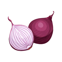 Onion