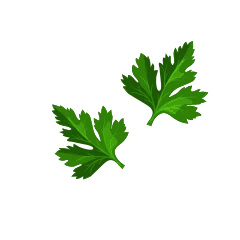 Parsley