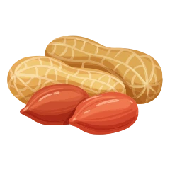 Peanut