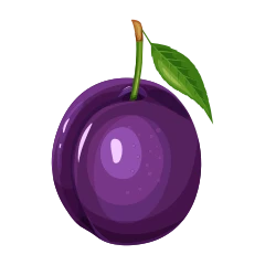 Plum