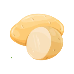 Potato