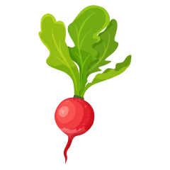 Radish