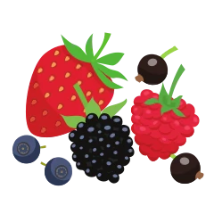 Wild berries