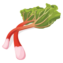 Rhubarb