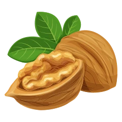 Walnut