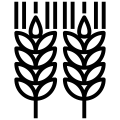 Malt